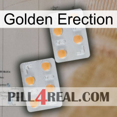 Golden Erection 25